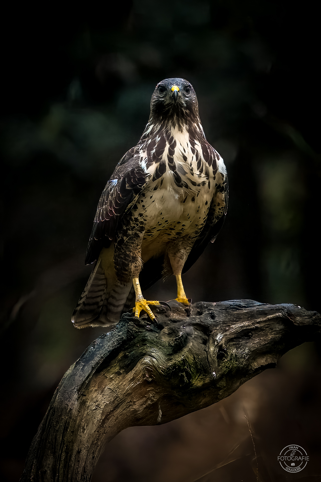 23 oktober 2022 095528 1R2A9257 bewerkt bewerkt